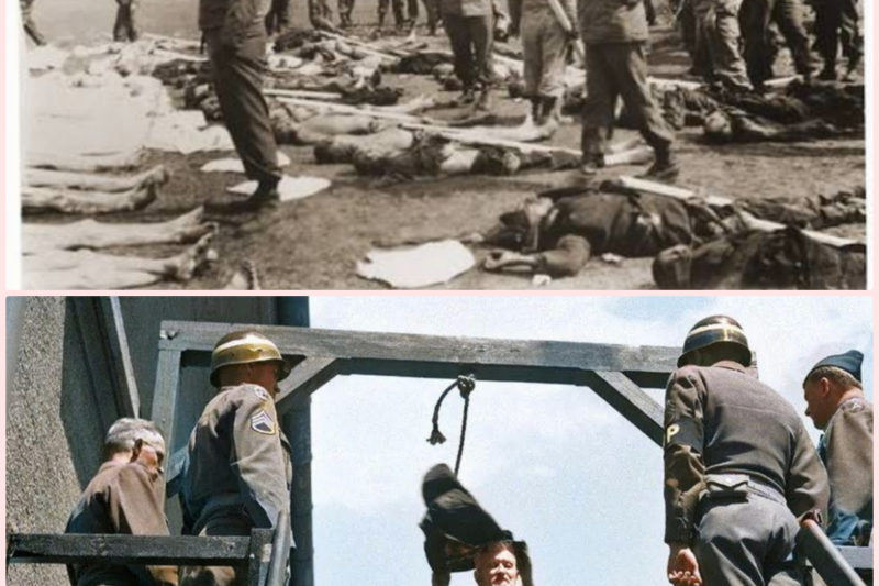 Justified Ex3cut1ons Of The Guards Of Dachau Concentration Camp