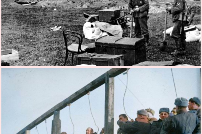 The Public Execution Of The German Soldiers Of Leningrad