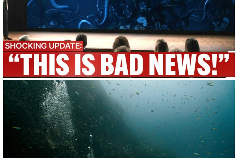 Beneath The Thermocline At 11,250 m Depth, Scientists Recorded Something Beyond Terrifying!
