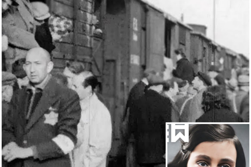 How did Nazis murder Anne Frank? Life of Anne Frank in the Secret Annex and her painful death