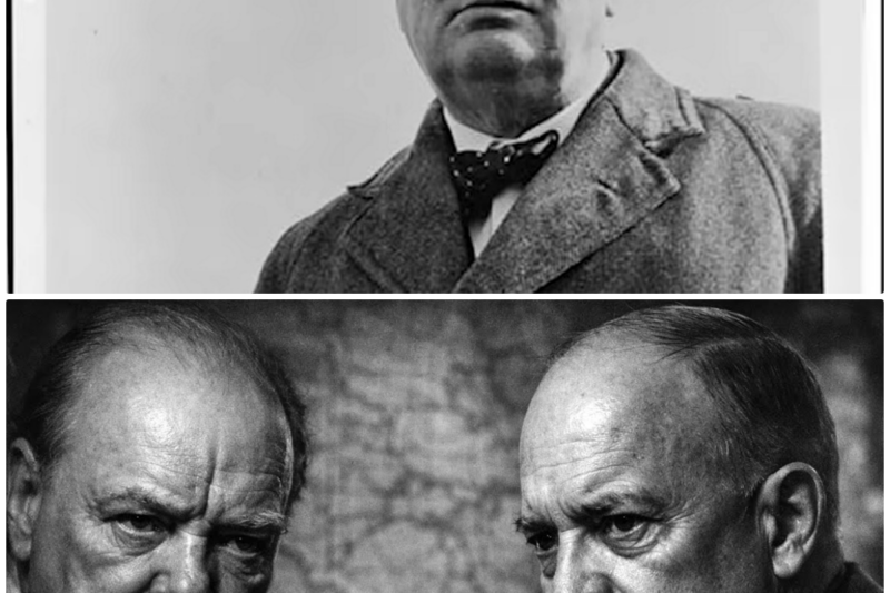 What did Winston Churchill say when Dwight D. Eisenhower refused to support Montgomery’s plan?