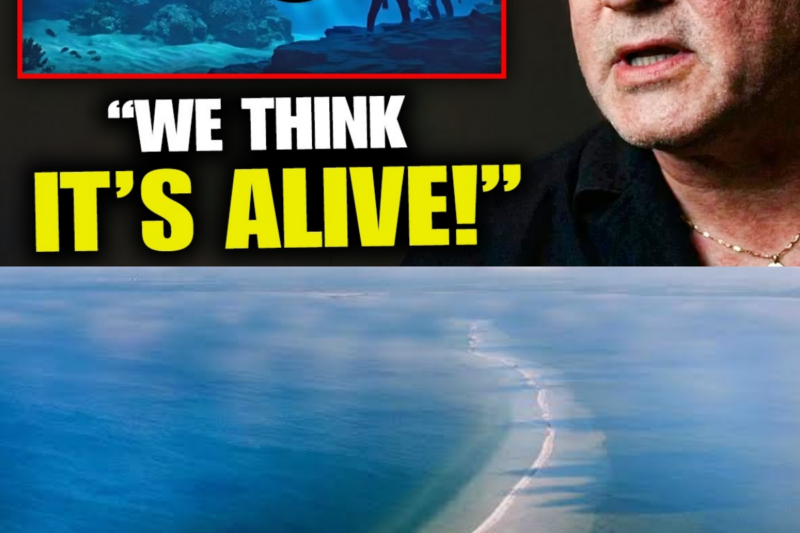 Before He Dies, Dennis Asberg Reveals The TERRIFYING Truth About Baltic Sea Anomaly
