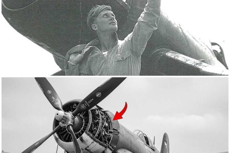 When His Guns Froze at 38,000 Feet — This Pilot’s “Insane” Solution Destroyed The Enemy