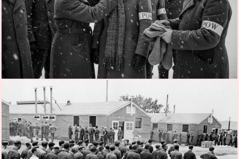 “You Can Go for a Walk If You Want” — German POWs Couldn’t Believe Canada’s Camps Had No Fences