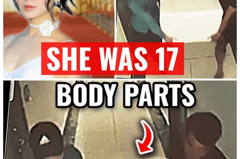 The HORRIFIC Beauty Pageant Murder that SHOCKED Vietnam