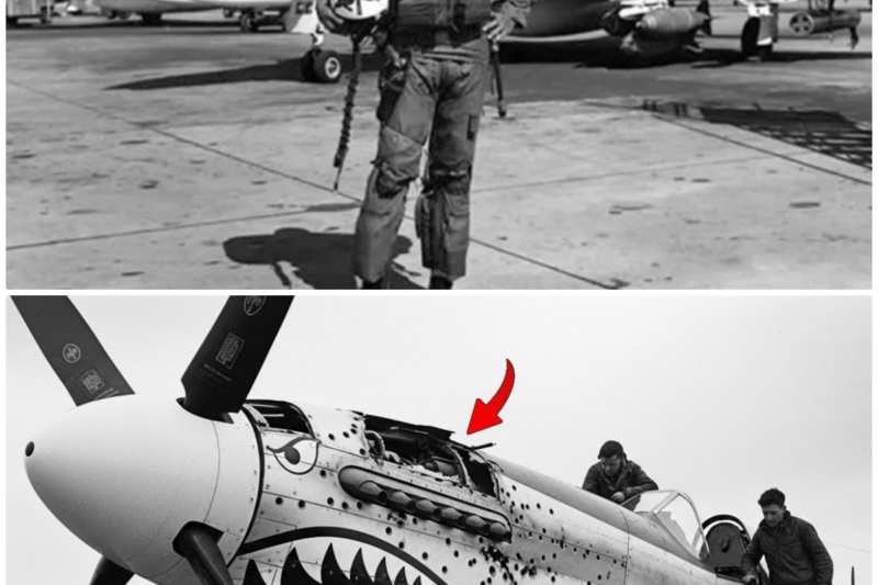 When 30 German Fighters Attacked One P-51 — This Pilot’s Lone Stand Saved 300 Bomber Crewmen