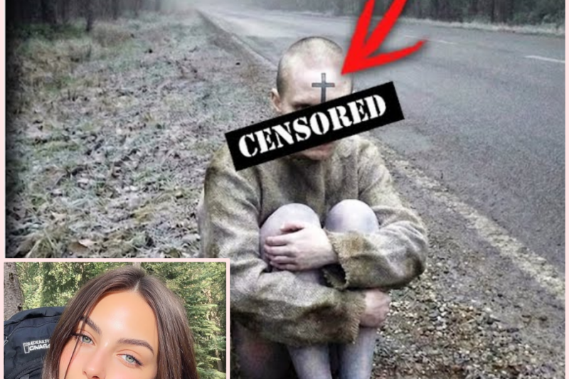 Hiker Vanished on Appalachian Trail – 4 Years Later Found BALD With A BIZARRE MARK On Her Face…