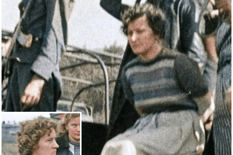 The Public Execution Of The Ewa Paradies *WARNING:HARD TO STOMACH*
