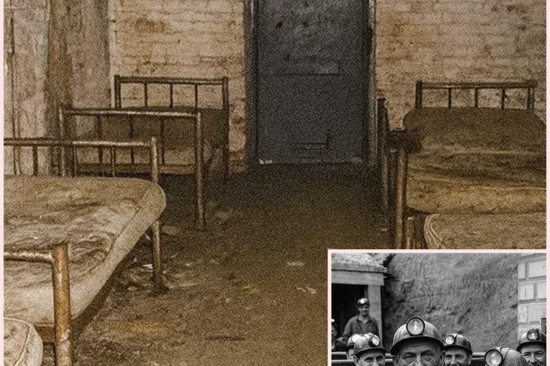 Miners Vanished in 1962 — 50 Years Later a Sealed Room Was Found Inside the Abandoned Mine…