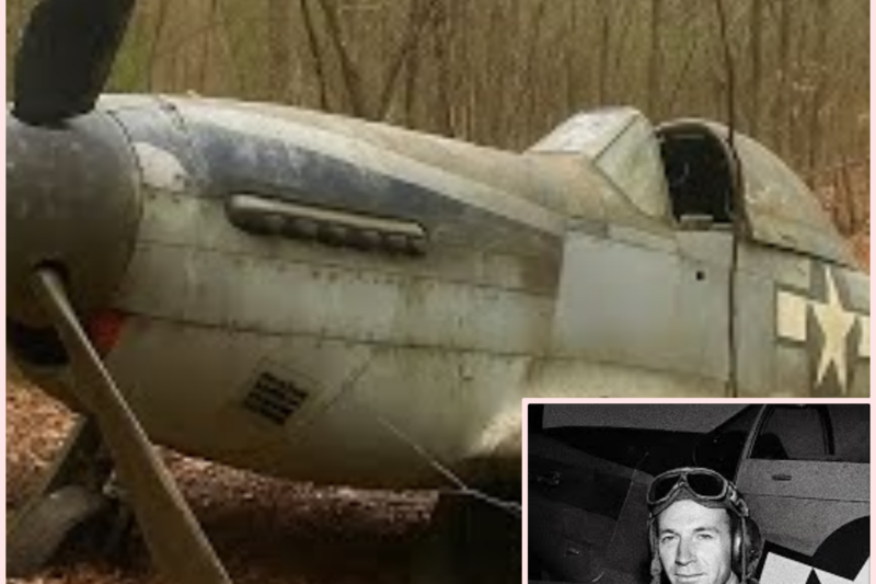 HE VANISHED WITHOUT A TRACE IN 1943—BUT 60 YEARS LATER, A RUSTED WARPLANE HIDDEN DEEP INSIDE A FORGOTTEN FOREST EXPOSED A SHOCKING SECRET NO ONE SAW COMING
