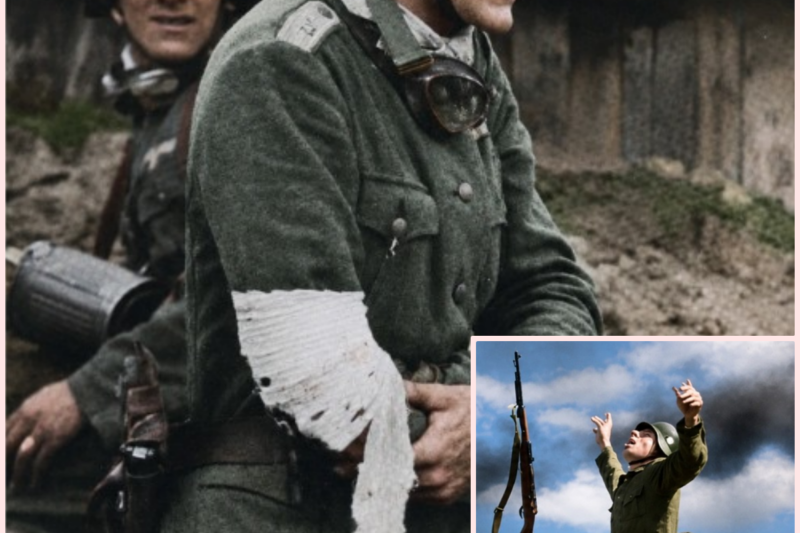 The Dark Reason German Soldiers Were Shot – History Documentary
