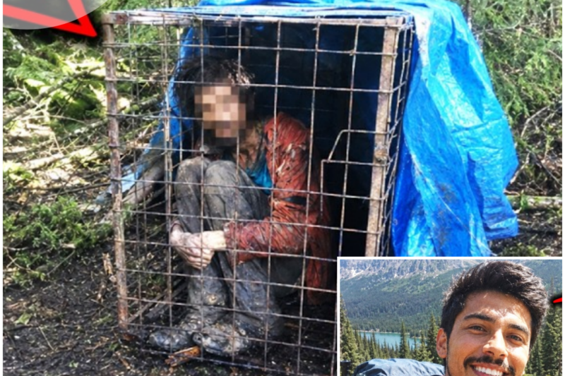They found him in the mountains of Montana in a dog crate.