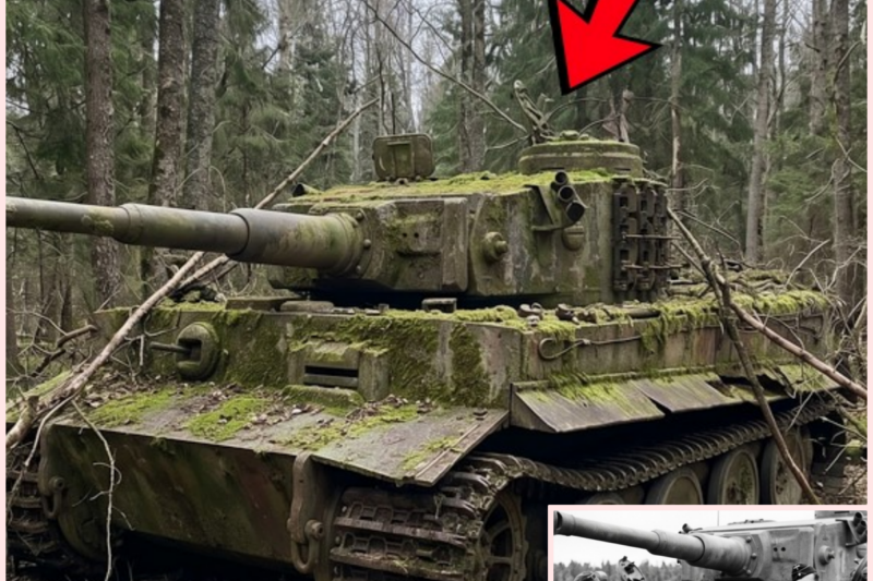 Panzer Crew Vanished After Kursk 1943 — 80 Years Later Their Tiger Tank Found Sealed in Forest
