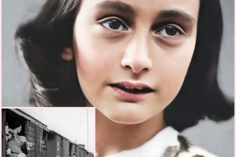 How did Nazis murder Anne Frank? Life of Anne Frank in the Secret Annex and her painful death – WW2