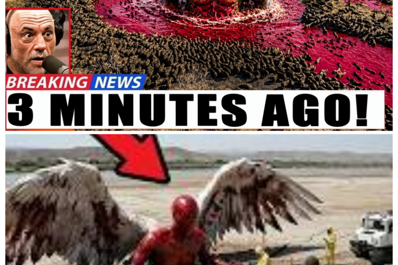 The Jordan River Just Revealed Something That Shocked the Whole World! Jesus Warned Us...