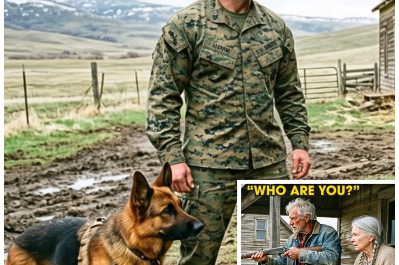Marine Returned to His Abandoned Ranch After 7 Years — And Found an Elderly Couple Living There