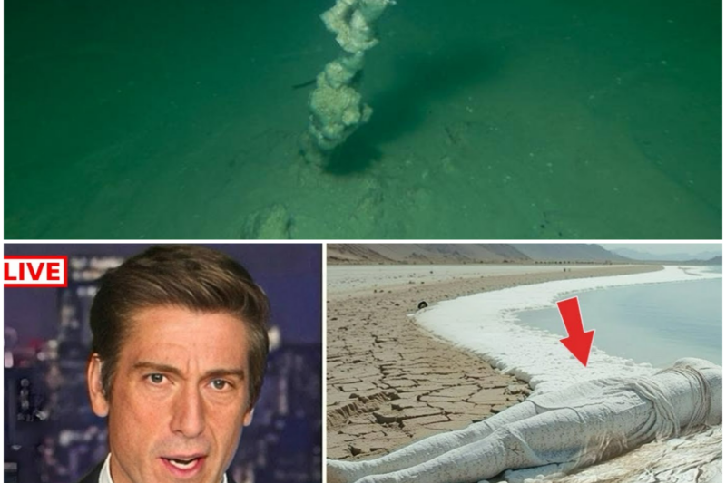 Dead Sea Bible Prophecy Is Coming True — Living Fish FOUND as Ezekiel Foretold!