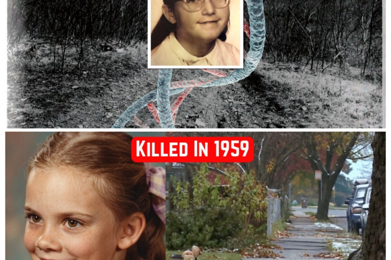 The Oldest Cold Case Solved by a Single Drop of DNA