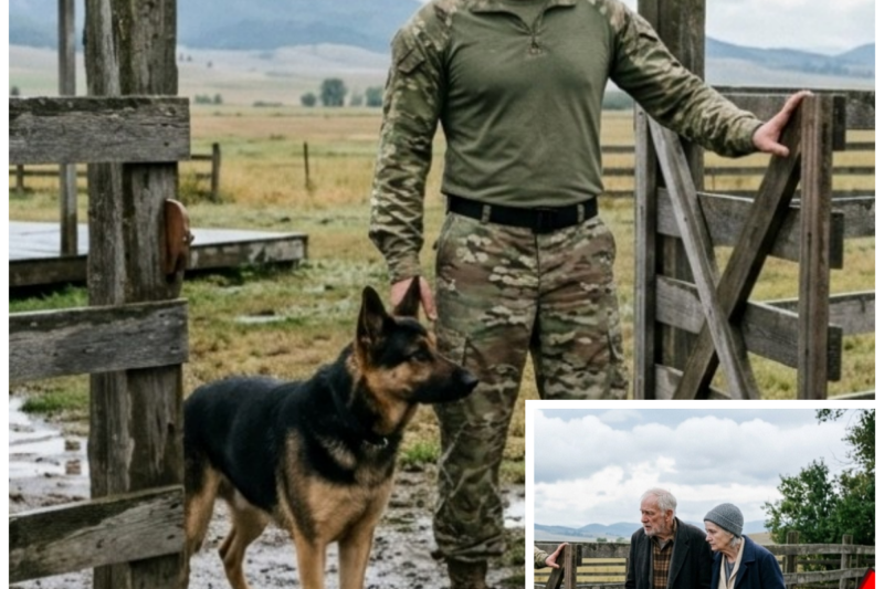 “Can We Sleep in Your Barn” They Asked a Navy SEAL — Then His Dog Gave Them Hope