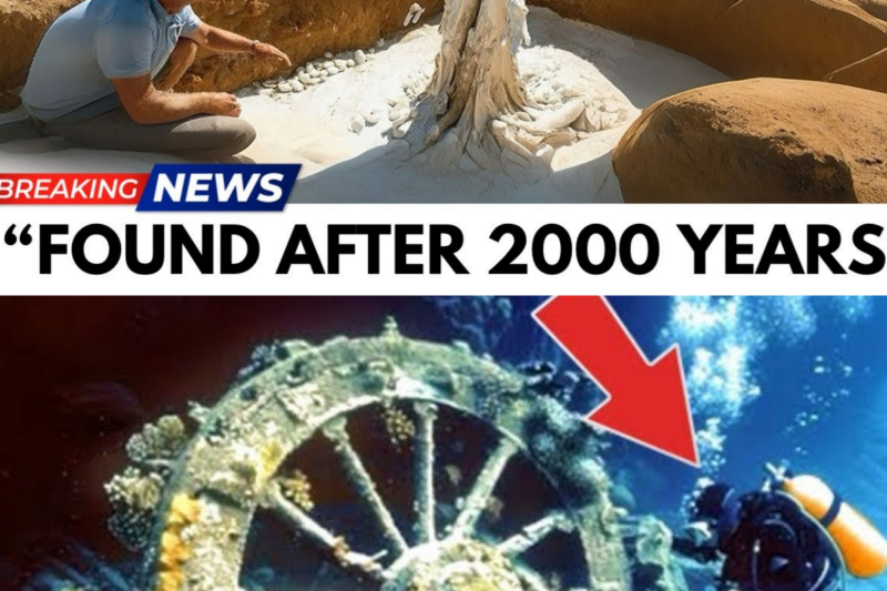 Archaeologists STUNNED After Finding Lot’s Wife!