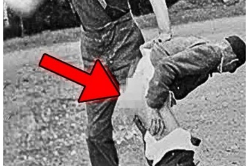 The Brutal EXECUTION of Adolf Eichmann *Warning REAL FOOTAGE