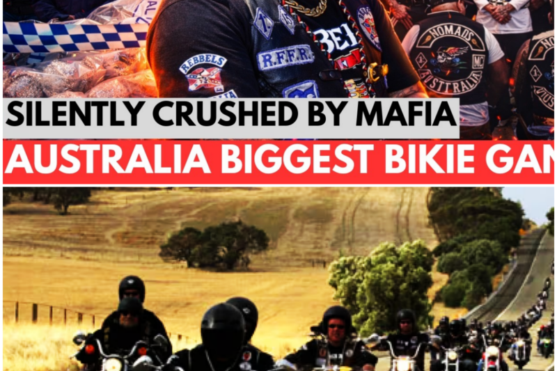 How the Albanian Mafia Crushed the Rebels Empire