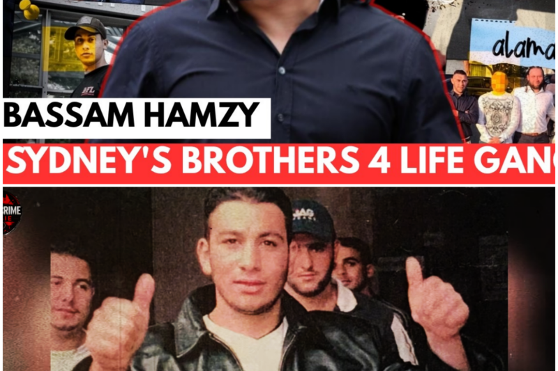 Bassam Hamzy The Prison Boss Behind Sydney’s Gang War