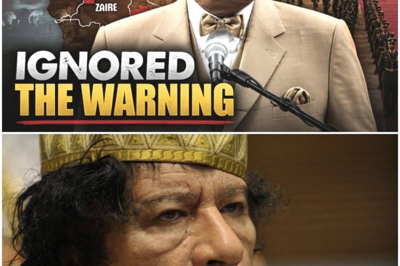 If You’re Black, Watch This: Last Prophetic Warning Farrakhan Gave Gaddafi