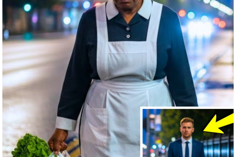 A Young Billionaire Secretly Followed His Old Maid One Evening and Learned a shocking Truth