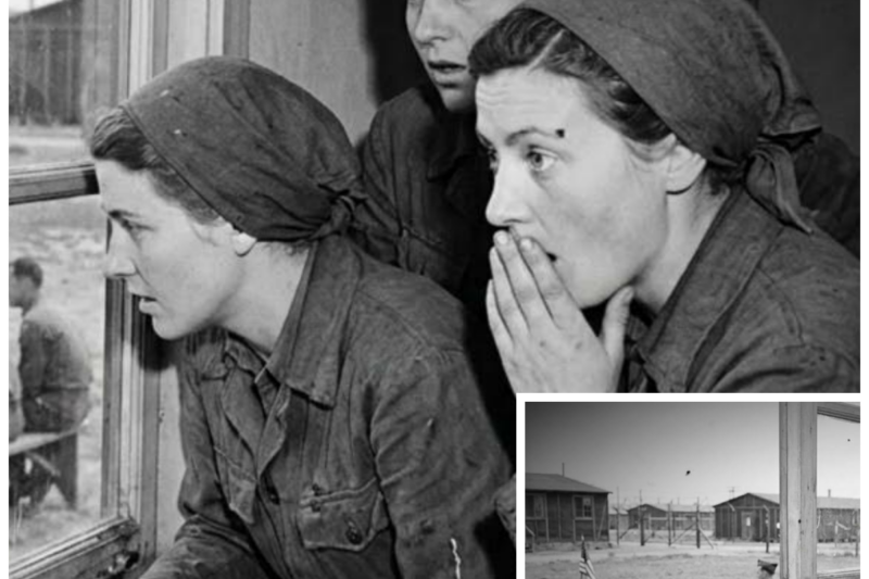 German Women POWs Arrived in America—What They Learned About Freedom Changed Them