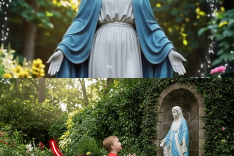 The Miracle in Denver — The Adopted Boy Who Spoke with the Virgin Mary in the Garden