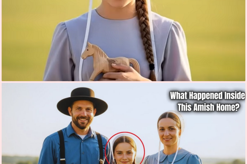 Amish Mom Fights to Save Her Daughter After Years of Hidden Abuse — Elders Told Her to ‘Stay Silent