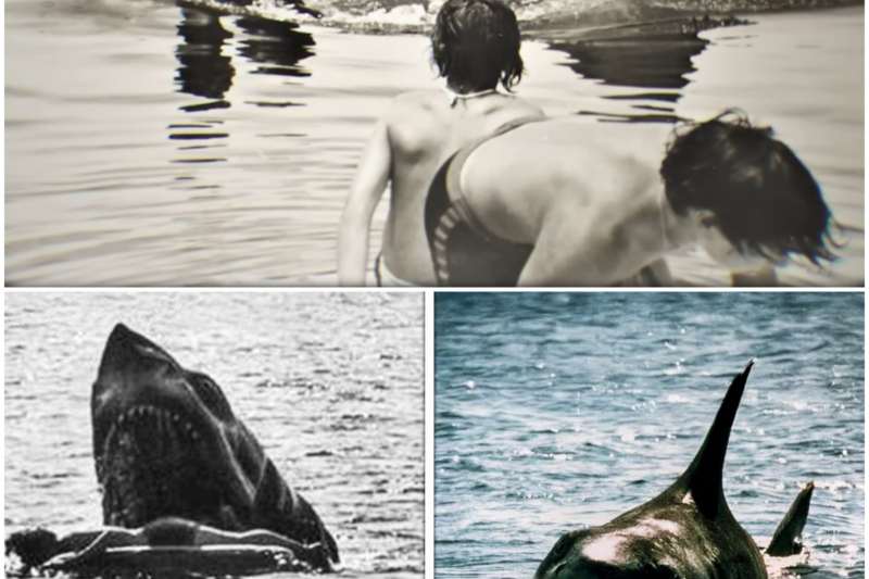 The Deleted Scene From ”Jaws” No-one Was Supposed To See