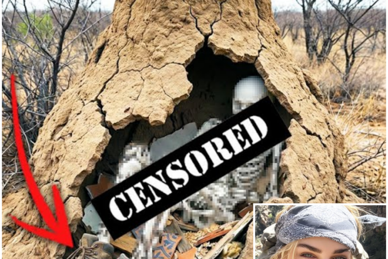 Hiker Vanished in Arizona — 7 Years Later Found As PART OF A GIANT TERMITE MOUND…