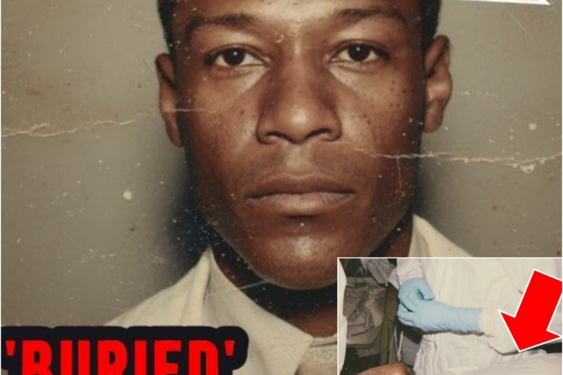 A Hospital Kept a “Sleeping Patient” for 30 Years — A New Nurse Realized It Was a Missing Doctor