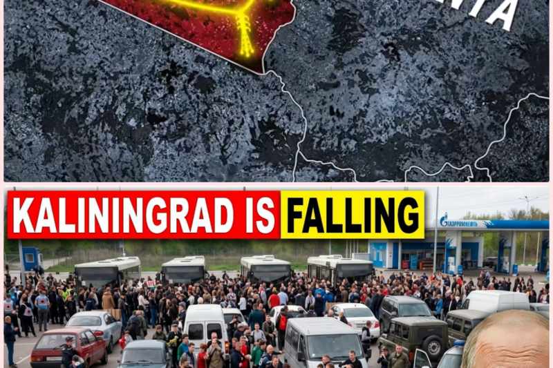 Historic HUMILIATION at Kaliningrad… Ukraine Just ERASED Putin’s Last European Stronghold