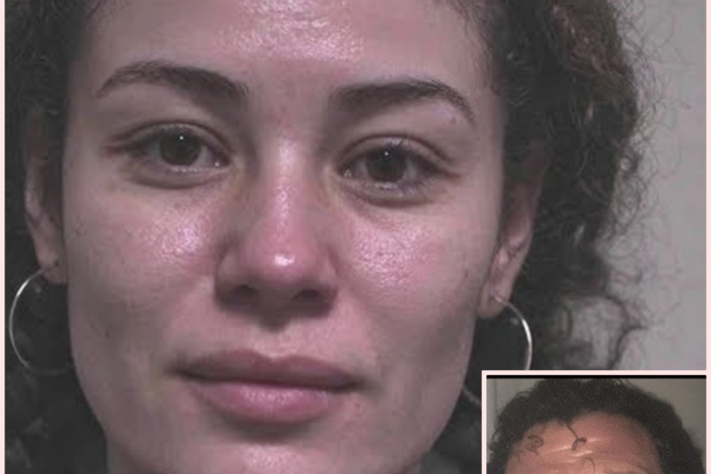 Pilot from Dubai COMMITS a CRIME against His Wife — After Learning She Was Pregnant by Another