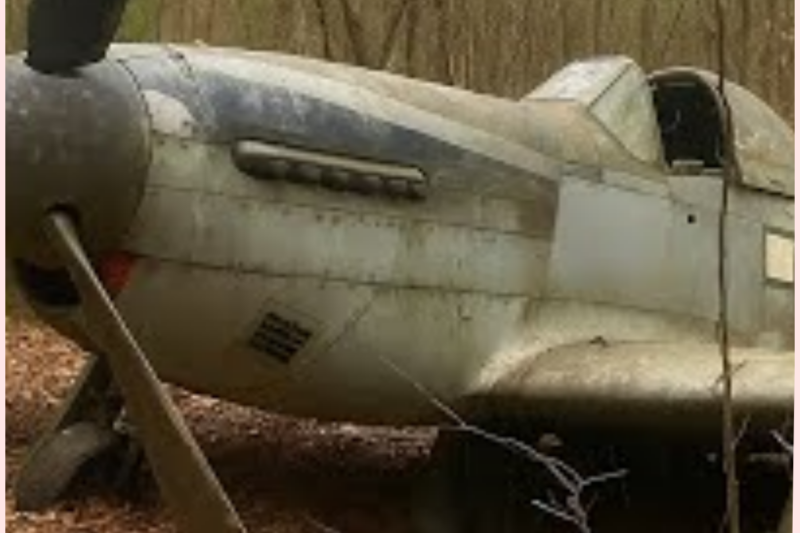 Fighter Pilot Vanished in 1943 — 60 Years Later, His Rusted Plane Was Found in a Forest…